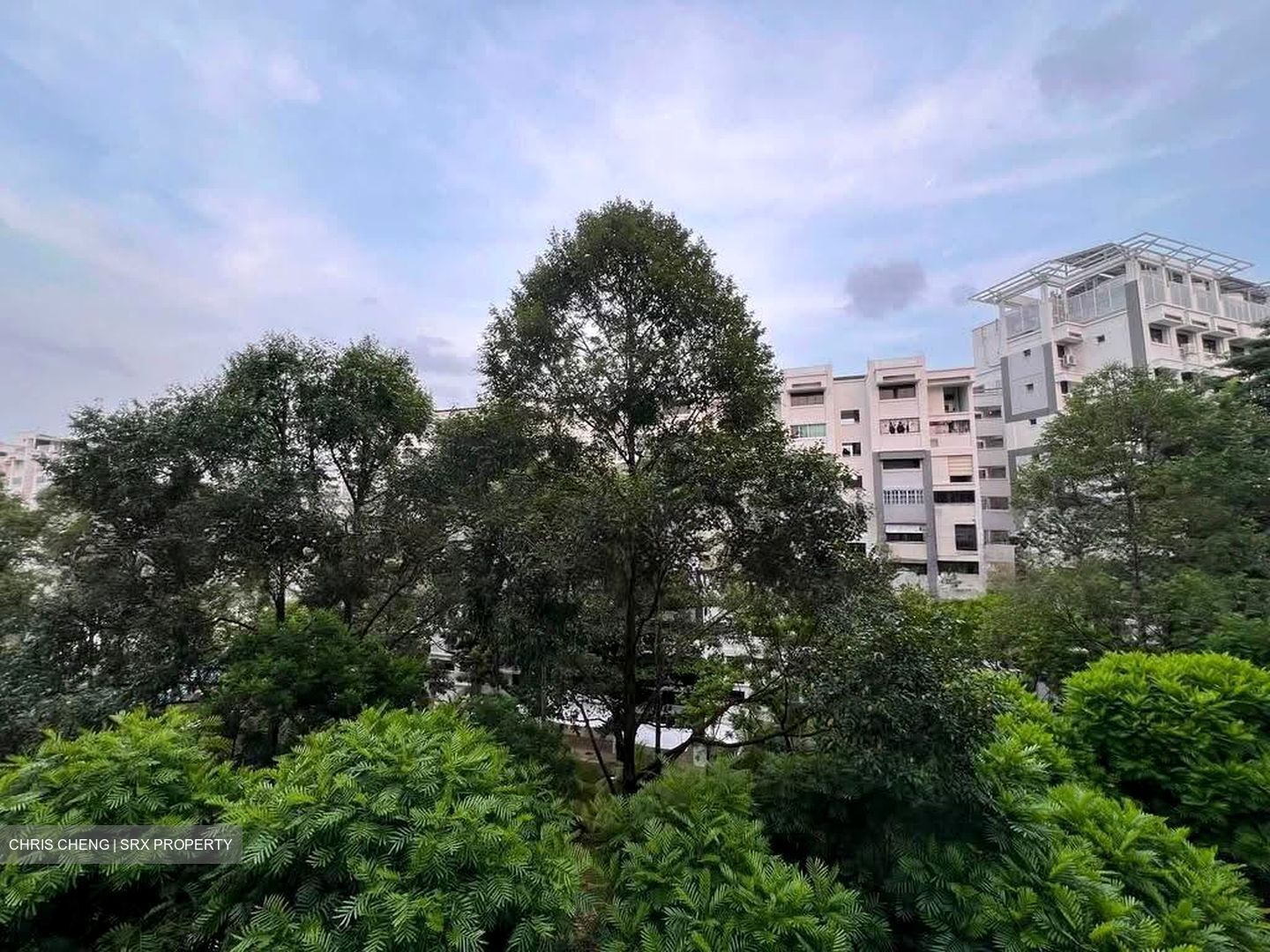 Blk 656 Woodlands Ring Road (Woodlands), HDB Executive #627034811